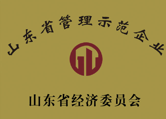 企業(yè)榮譽